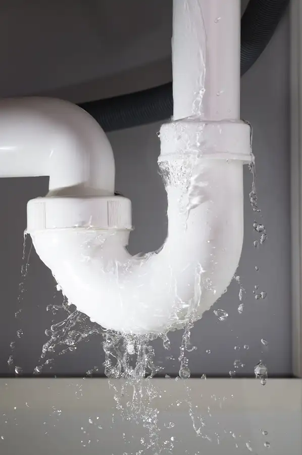 Handyman services - minor plumbing services, water leak repair - Springfield, IL